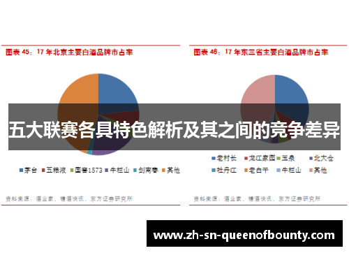 五大联赛各具特色解析及其之间的竞争差异