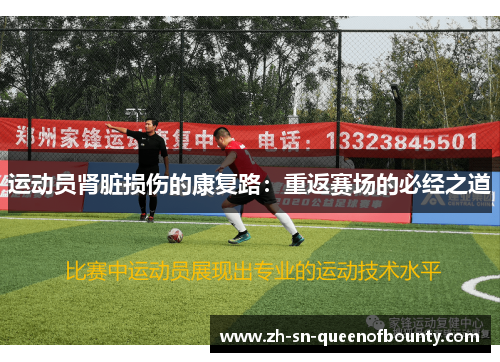 运动员肾脏损伤的康复路：重返赛场的必经之道