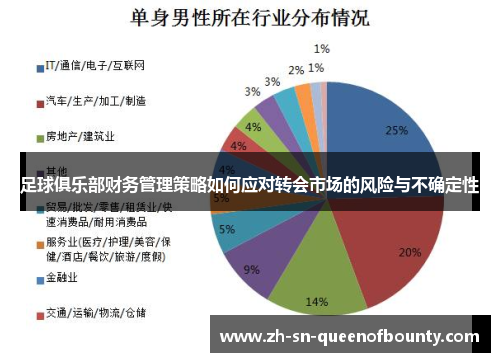 足球俱乐部财务管理策略如何应对转会市场的风险与不确定性 足球俱乐部财务管理策略如何应对转会市场的风险与不确定性