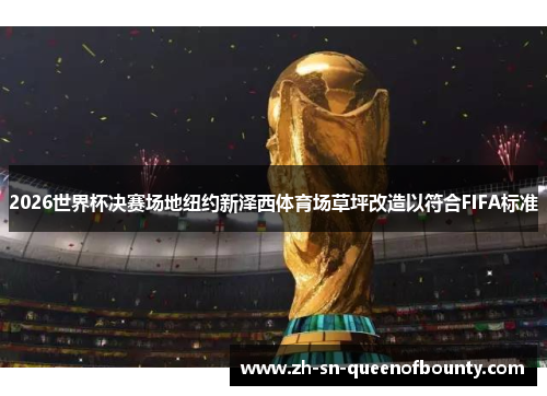 2026世界杯决赛场地纽约新泽西体育场草坪改造以符合FIFA标准